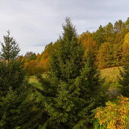 Karkonoszek 10 * Jelení Hora