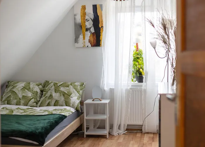 Karkonoszek 10 Jelení Hora