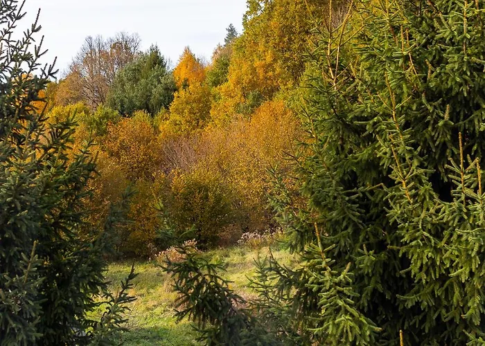 Karkonoszek 10 Apartmán *